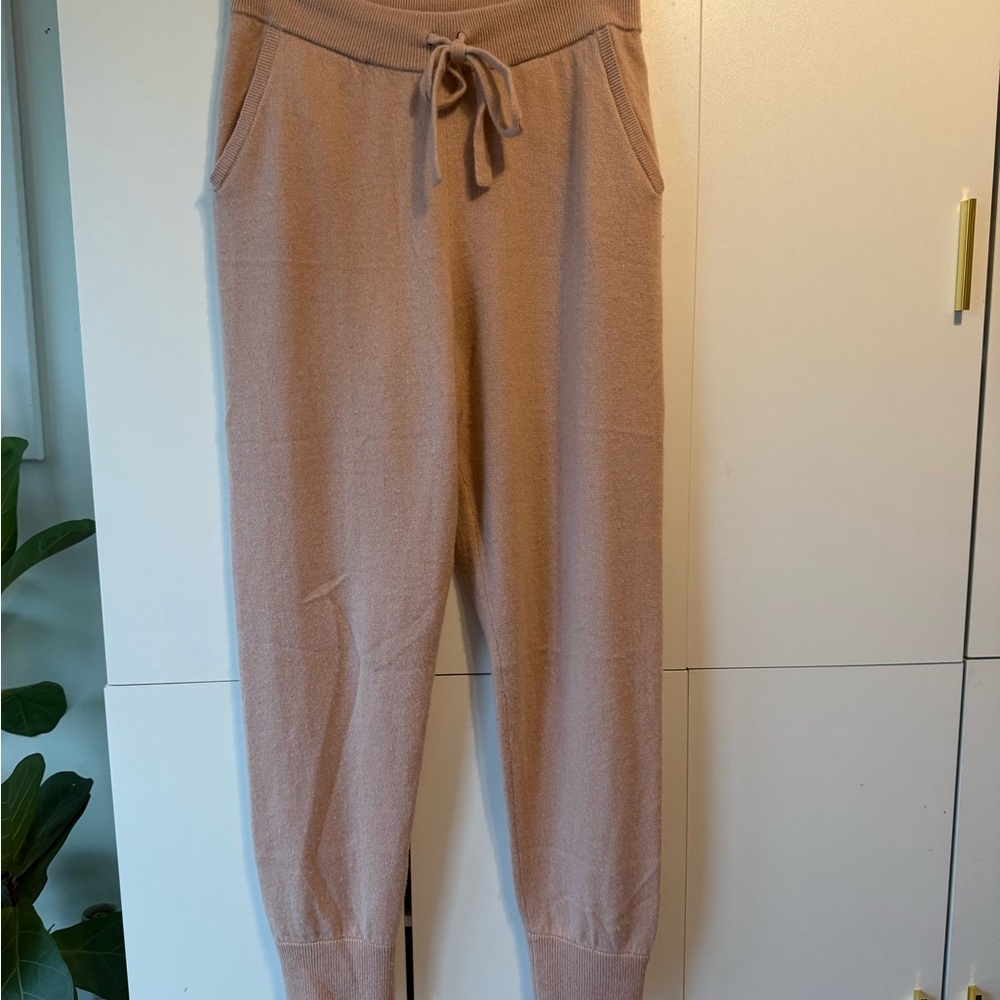 Express Cashmere Joggers in Blush Pink